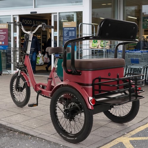 Electric cargo trike adult - electric,