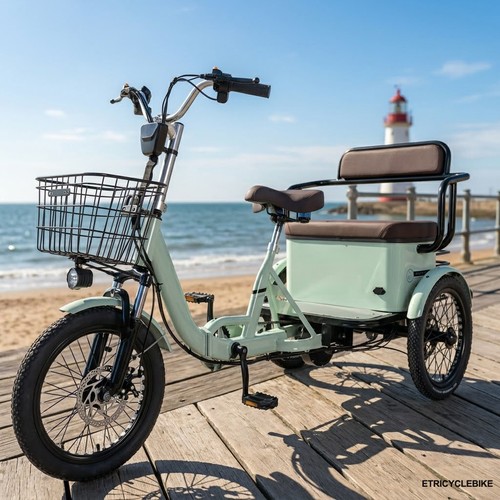Adult electric tricycle - adult,
