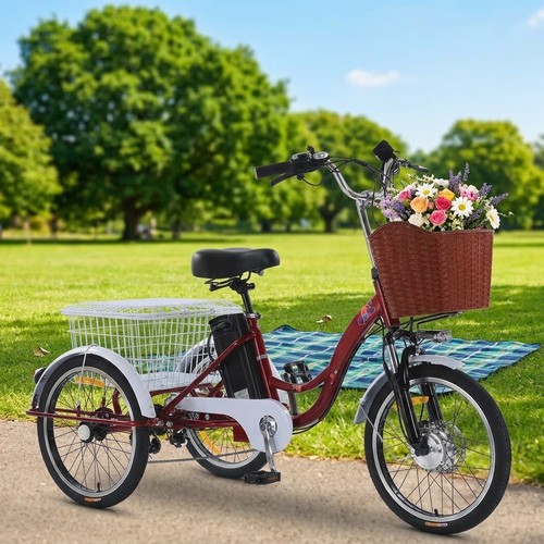 Wheel electric tricycle - 20'',