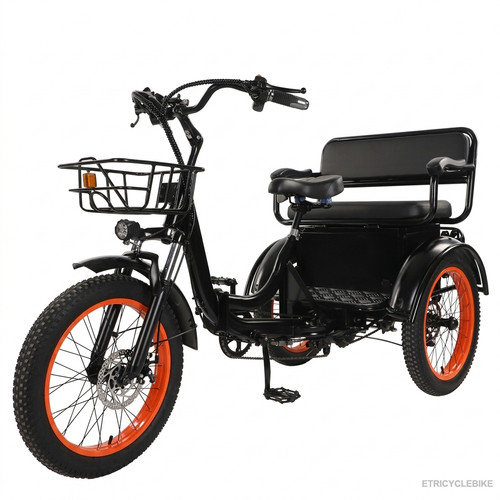 Folding electric tricycle - 20'',