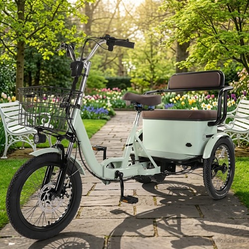 Senior electric tricycle - tricycle, 18''