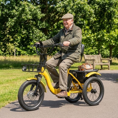 Electric tricycle for seniors - electric,