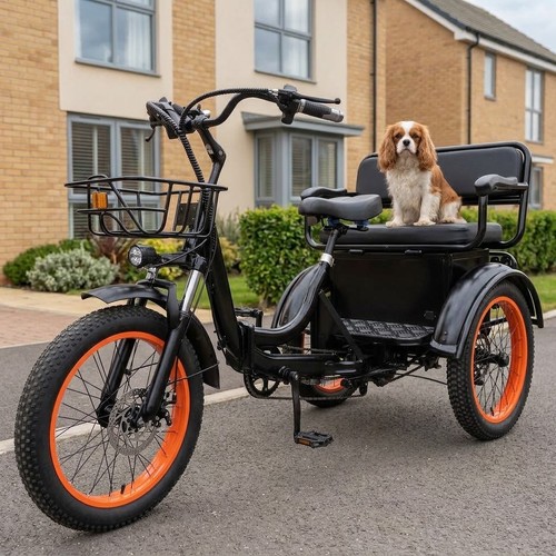 Electric tricycle adult - electric, 20