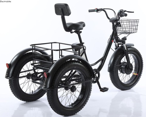 48v electric tricycle - electric, 140kg