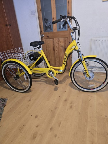 Electric tricycle scout - electric,