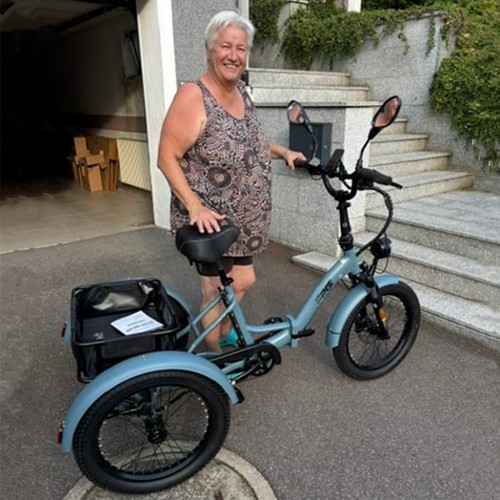 Electric tricycle 48v 21ah - tricycle,
