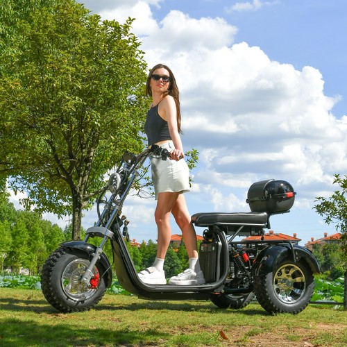 Aldult fat tire scooter - fat,