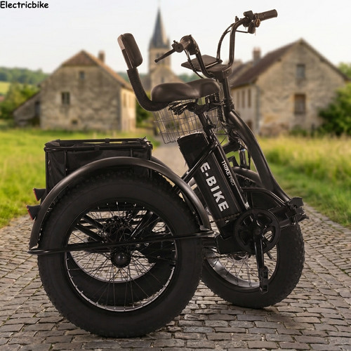 Off road electric cargo - cargo, trike
